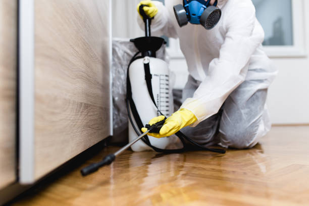 Best Best Pest Control Companies  in Weyers Cave, VA