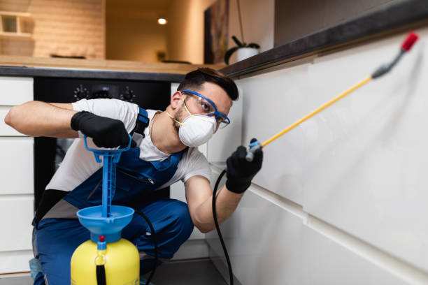 Best Bed Bug Extermination  in Weyers Cave, VA