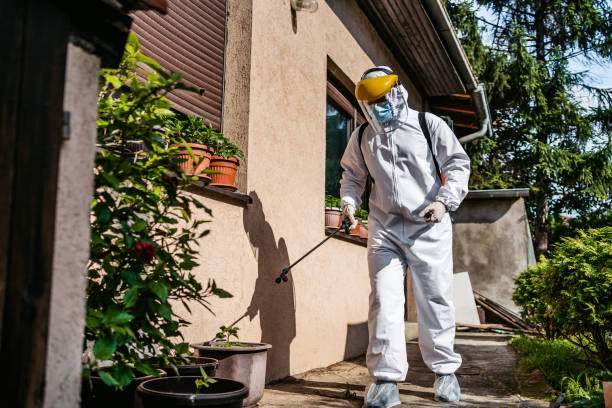 Best Termite Control Services  in Weyers Cave, VA