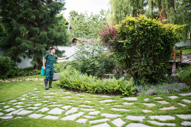 Best Pest Removal Services  in Weyers Cave, VA