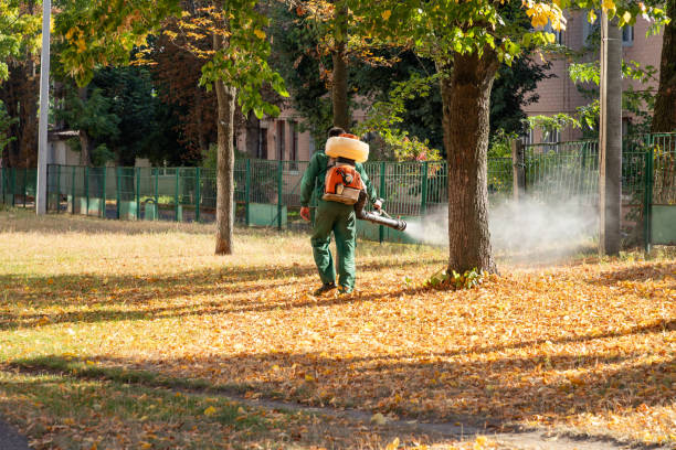 Trusted Weyers Cave, VA Pest Control Experts