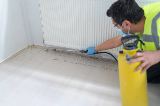 Best Pest Prevention Services  in Weyers Cave, VA